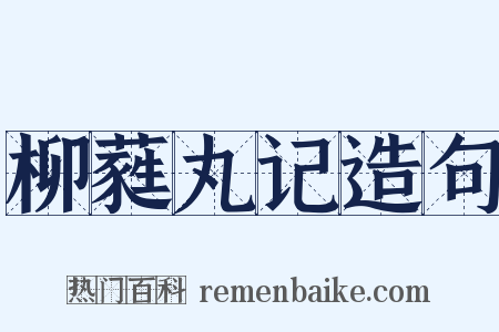 柳蕤丸记造句是什么意思的图片